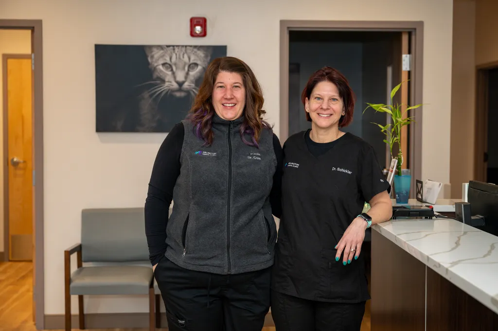 Arlington Animal Clinic welcoming friendly veterinary team caring for dogs and cats in Arlington MA