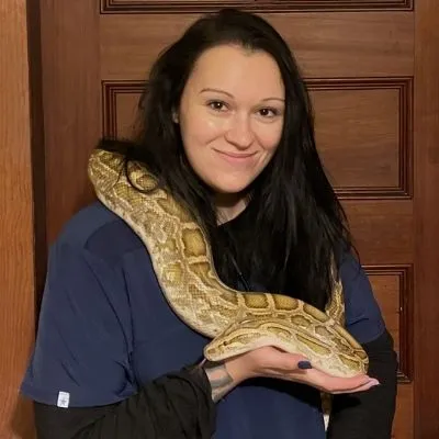 Arlington MA Reptile Veterinary Care for Animals