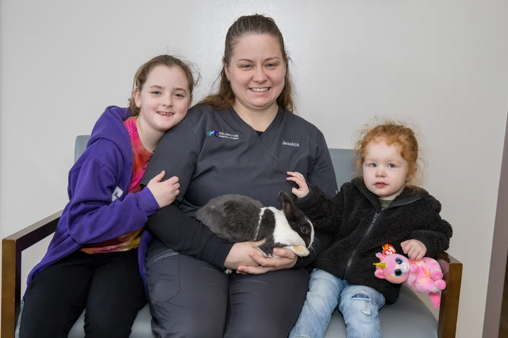Rabbit Vet Clinic in Arlington