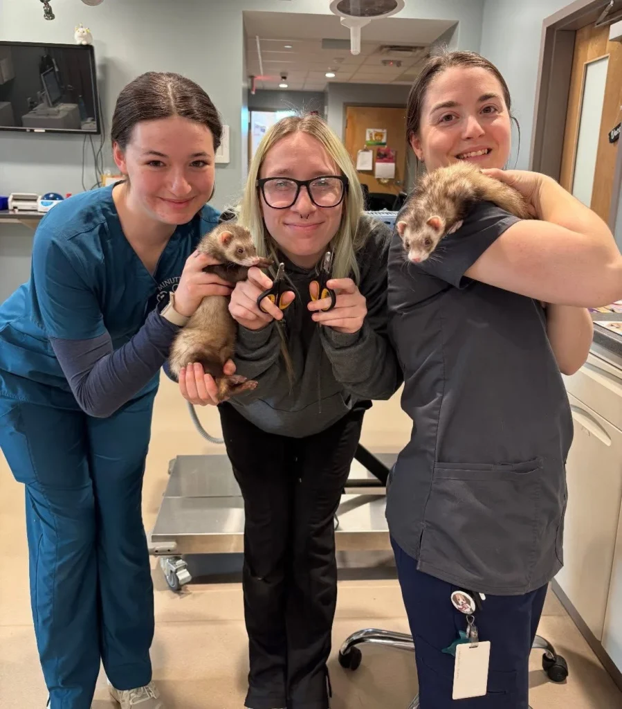 Arlington MA Small Mammal Veterinary Care for Animals