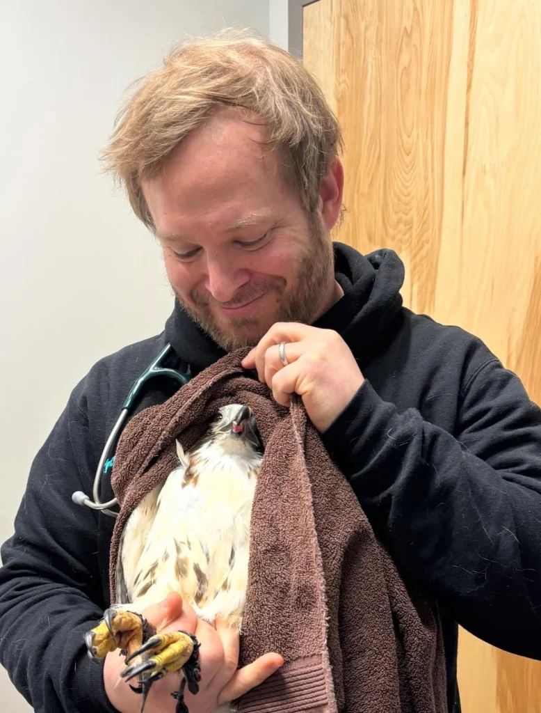 Arlington MA Bird and Avian Veterinary Care for Animals